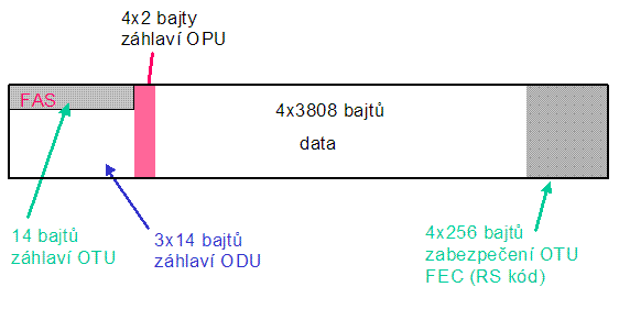 OTU1